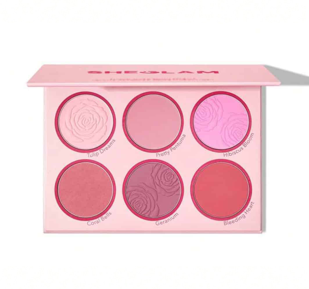 پالت رژگونه شیگلم 